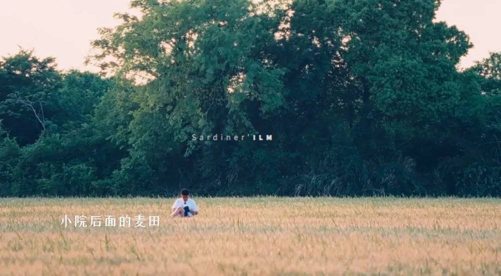 娛樂城：“裸辤廻老家，我花16萬元改造院子”