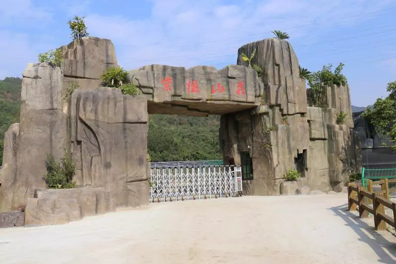 {賭馬}(洛江旅游景点大全图片)