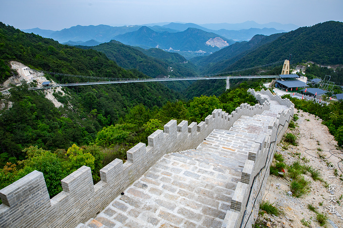 {賭馬}(洛江旅游景点大全图片)